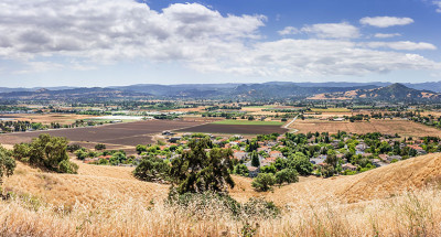Fields and landscaping
